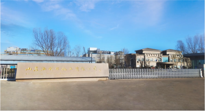 山东新葡的京集团35222vip化工有限公司